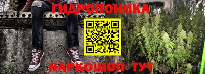индика Тверь