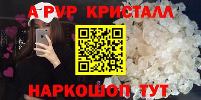 индика Тверь