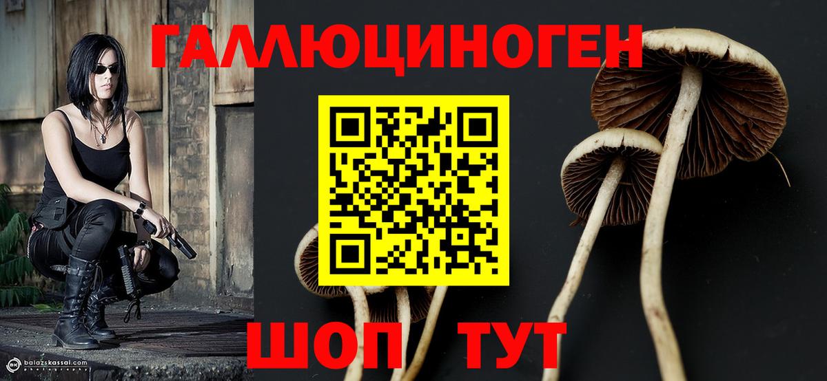 Псилоцибиновые грибы прущие грибы  наркотики  Псилоцибиновые грибы Psilocybe  Назарово  Вход с VPN 